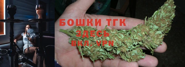 первитин Инсар