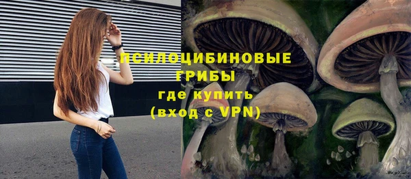 СК Инта