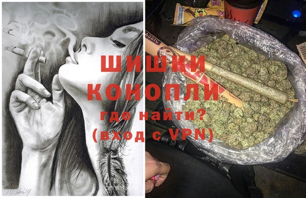 СК Инта